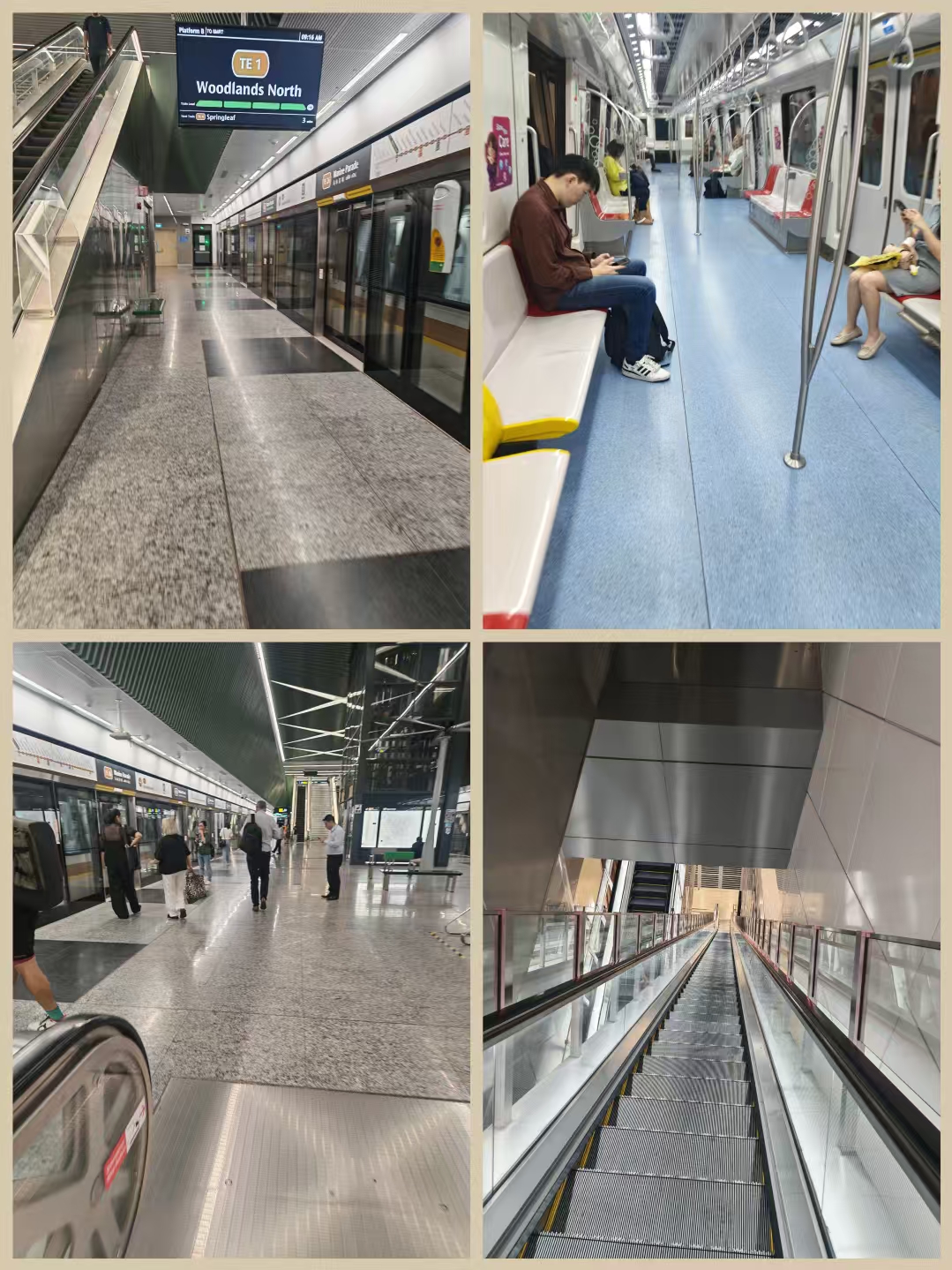 MRT TE线